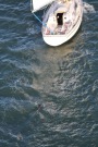 Missing Picture